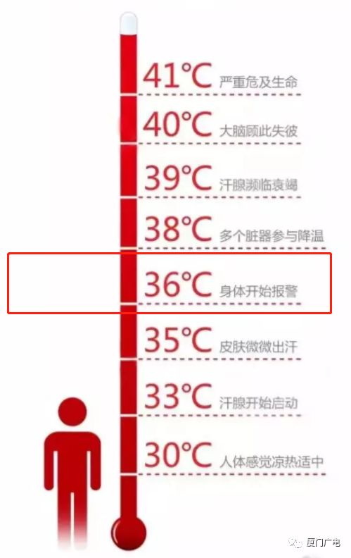 531c3ba74bdc41f4aec3158a2007601e.jpeg