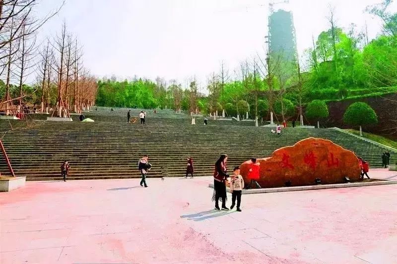 好消息渠县又一公园将创建国家4a级旅游景区