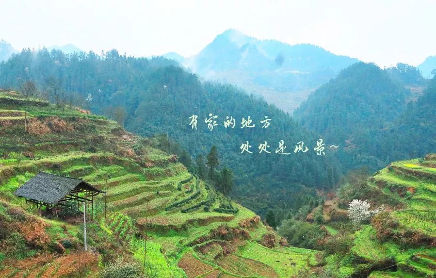 湘西有多少人口_湘西自治州有多少个市