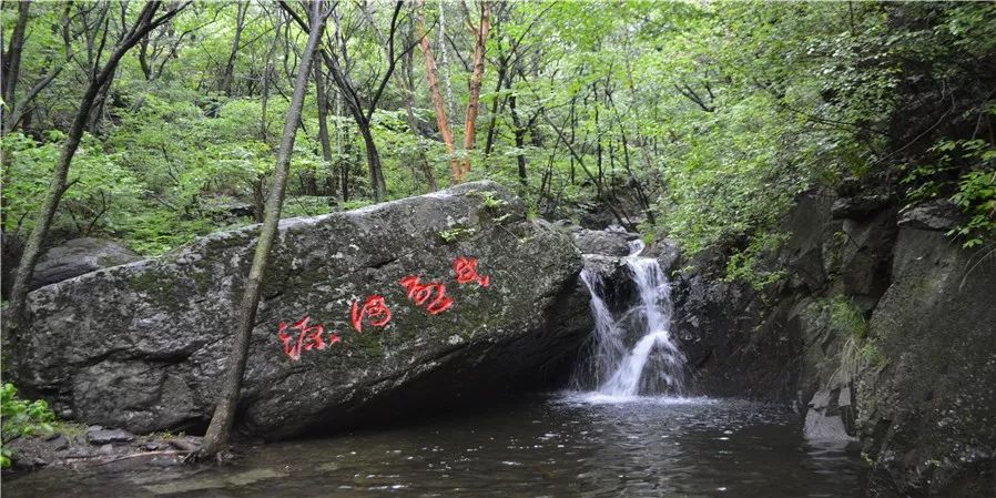 松鼠等野生动物都有!那就是 黑熊谷森林公园