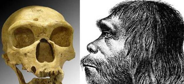 揭秘原始人真实的样子专家根据在遗址中的发现复原4张原始脸