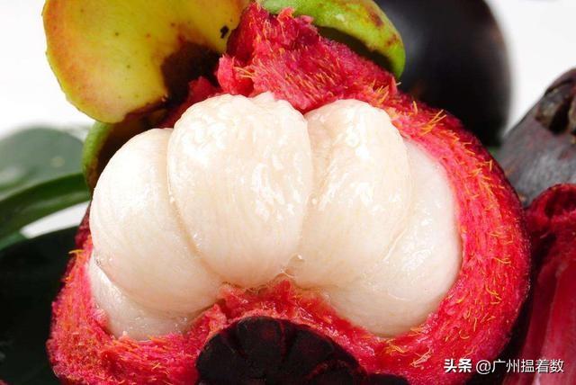 山竹和榴莲是“夫妻果”,清热又降火,但这三类人要少吃两口! 澳博注册平台