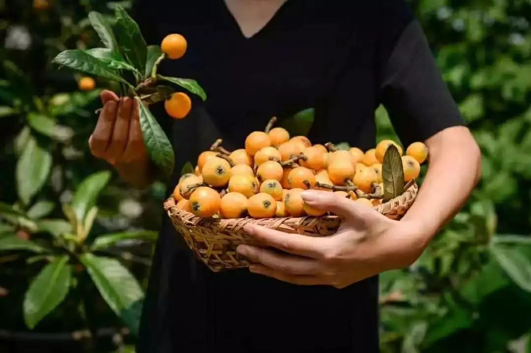 樱桃加桑葚 661a221331f74325a3896468cb66440a.jpeg