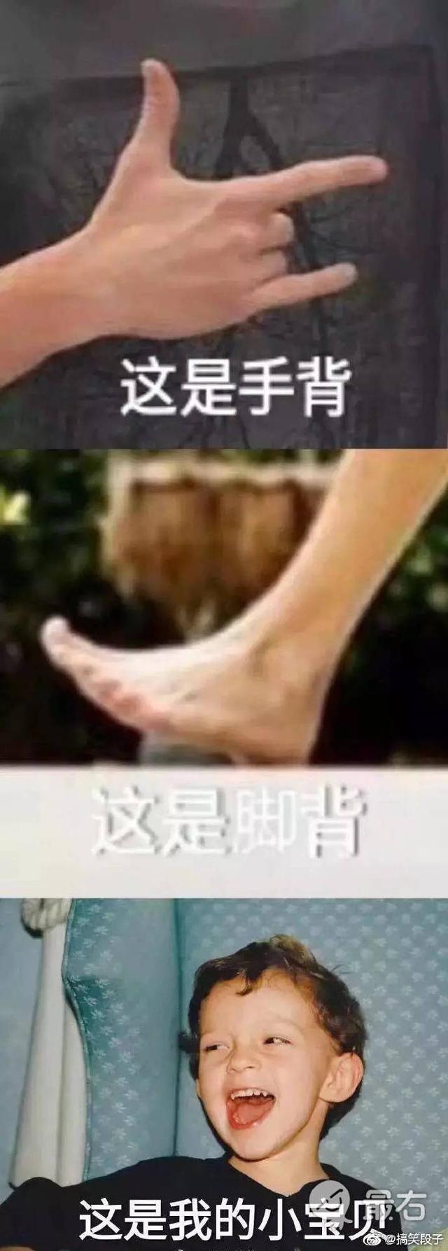 520情话表情包|这是手指,这是脚背,你是我的小宝贝