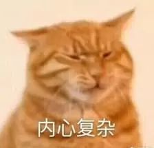 6a97037033584afc9b5cbb52a657c17c.jpeg
