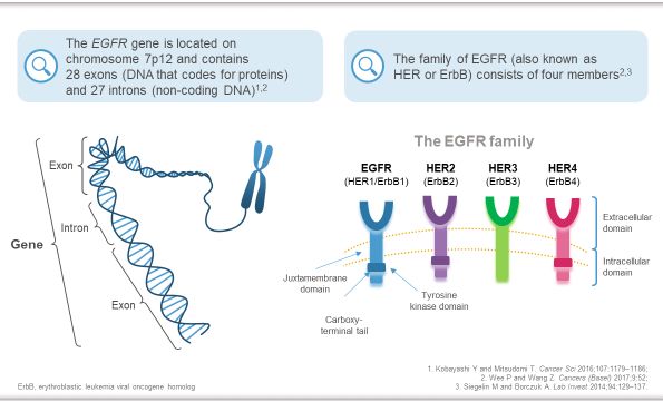 什么是基因突变有哪些特征 6c3c6ebc46b24c9695ce7d05a44a5a39.jpeg