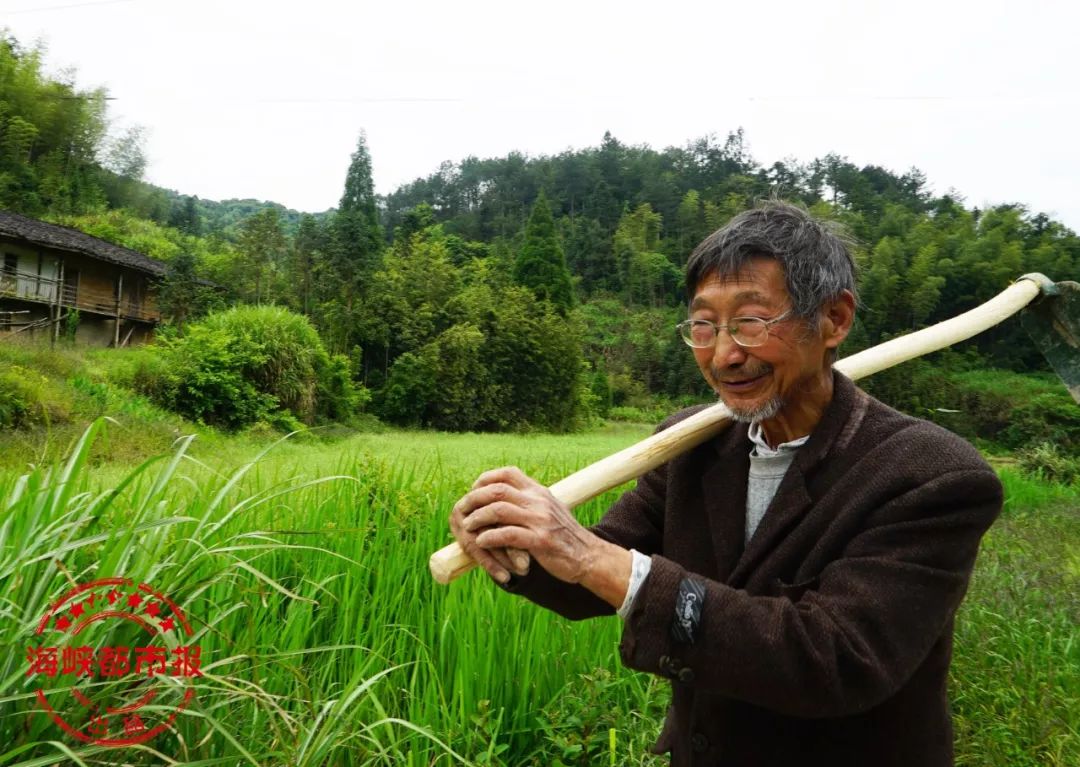 一早老教授扛着锄头到田间劳动去