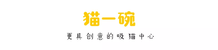 把猫放在键盘上之后,你可以躺着挣钱! 中文无码在线观