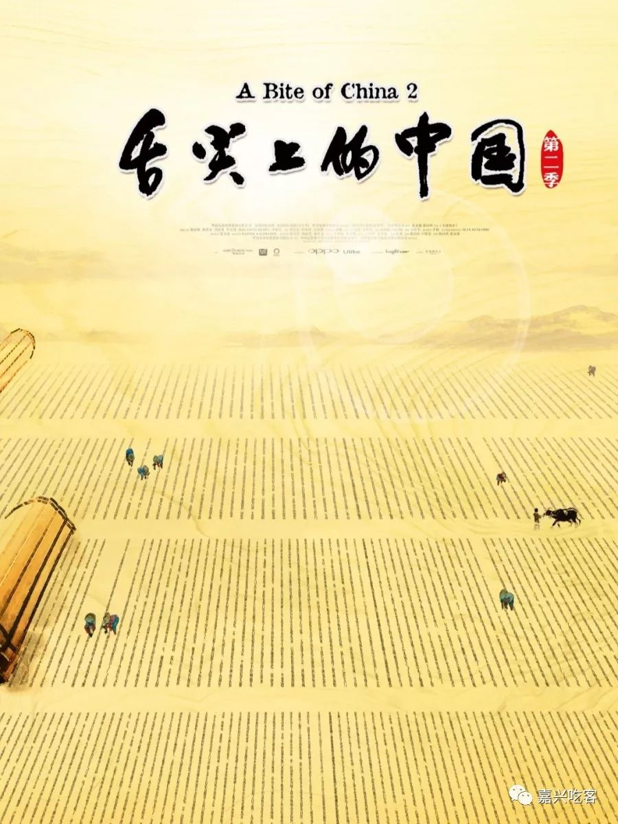 纸飞机纪录片视频在线观看 7519a385f5404c75976d73130cc21f88.jpeg