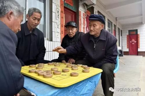 让农村老人有一个舒适的晚年生活愿景成为现实 龙8国际官网