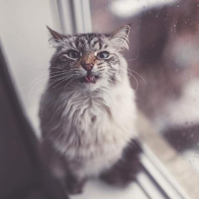 7a6bf310094747aabdd058f0618f4461.jpeg