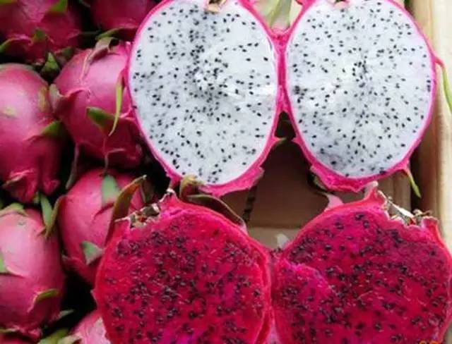 火龙果热吃怎么做 7b73cc608f524f438e4100a6252cd8aa.jpeg