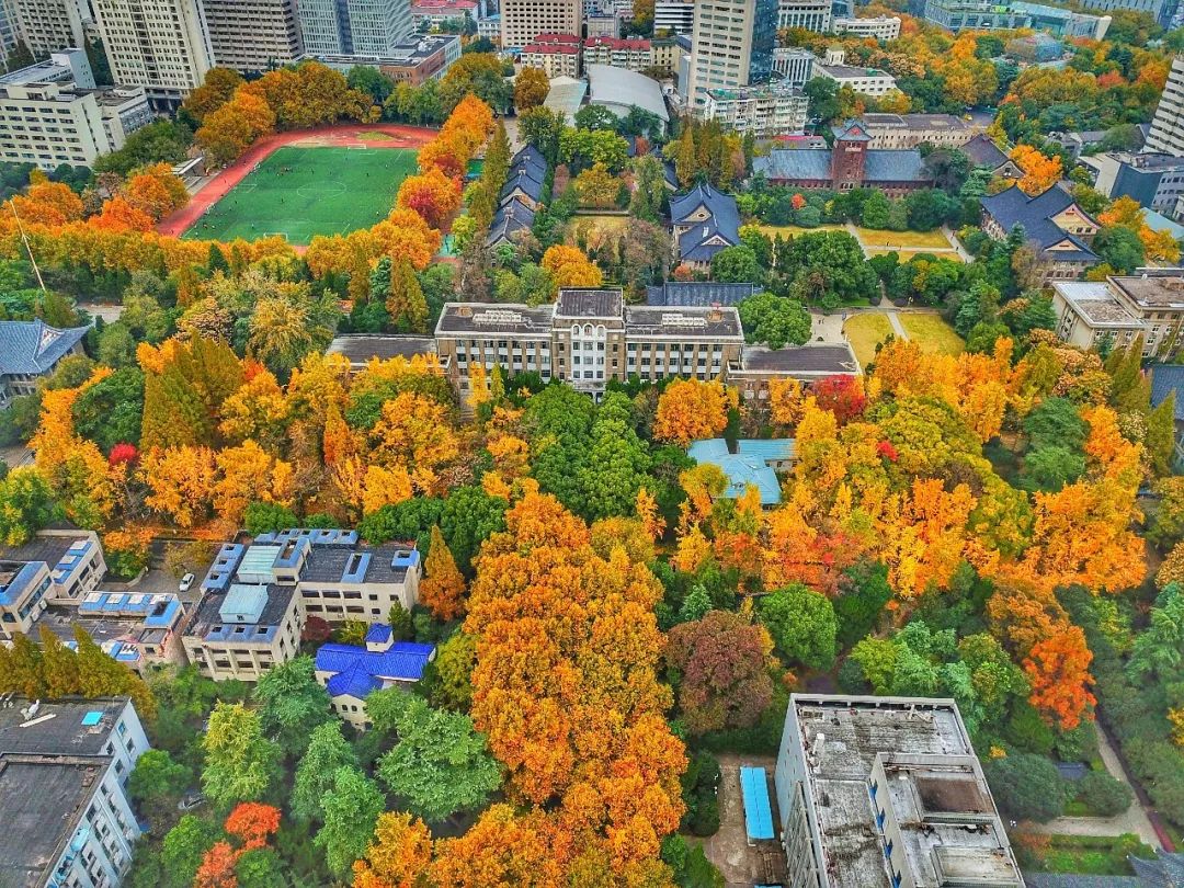 南京大学,来了!