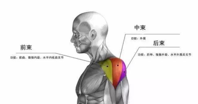 ֻʣһǼ,