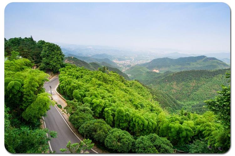 素履之往,让心安放—莫干山后坞生活农舍度假村