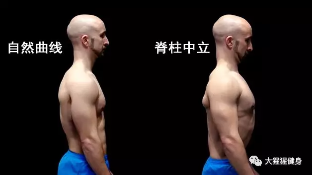 平板支撑的正确动作示范 95b94288284549f2b11729ac5e6bf773.jpg