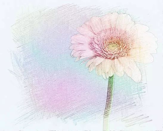 前半生拿得起，后半生放得下