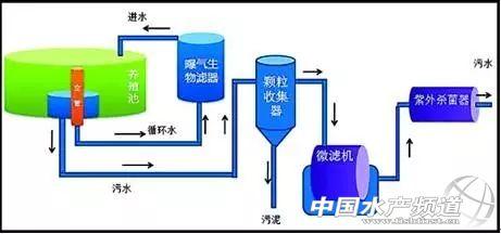 循环水养殖,哪种更有"钱"途?