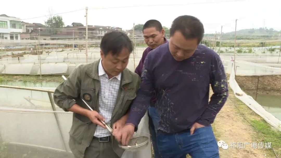 文市镇有多少人口_北流隆盛镇有多少人口(2)