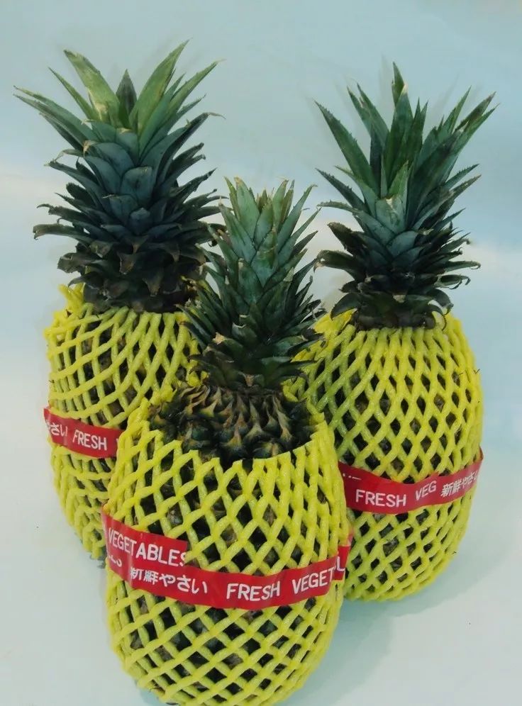 最便宜的水果花篮 a6fa979913734e189936a8c46f5f91b7.jpeg