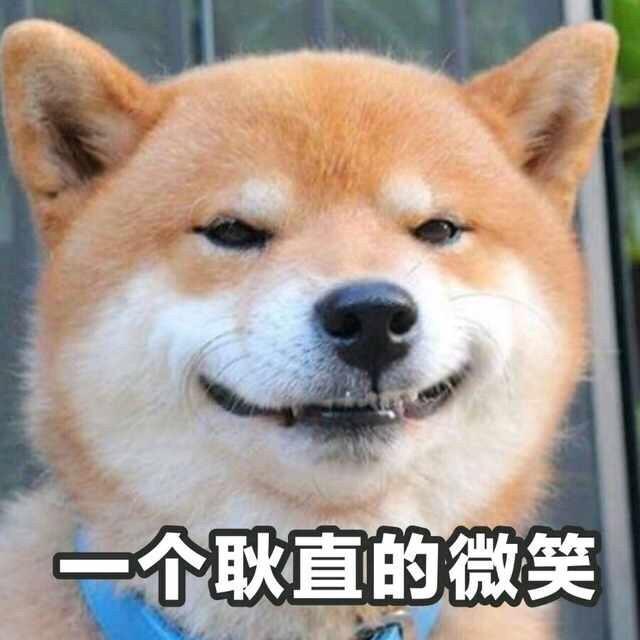 柴犬表情包：你再捏我臉我和你急！ 未分類 第5張