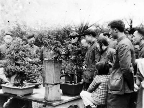 活动回顾 周瘦鹃的花木岁月 花花草草:周瘦鹃自编小品文集》