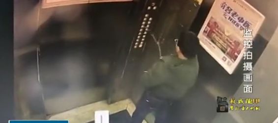 有人电梯里"狂欢,记者走访调查,电梯问题之多,让人震惊!
