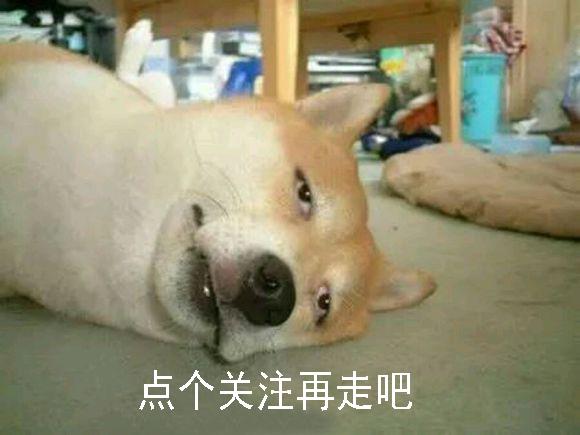 柴犬表情包：你再捏我臉我和你急！ 寵物 第22張