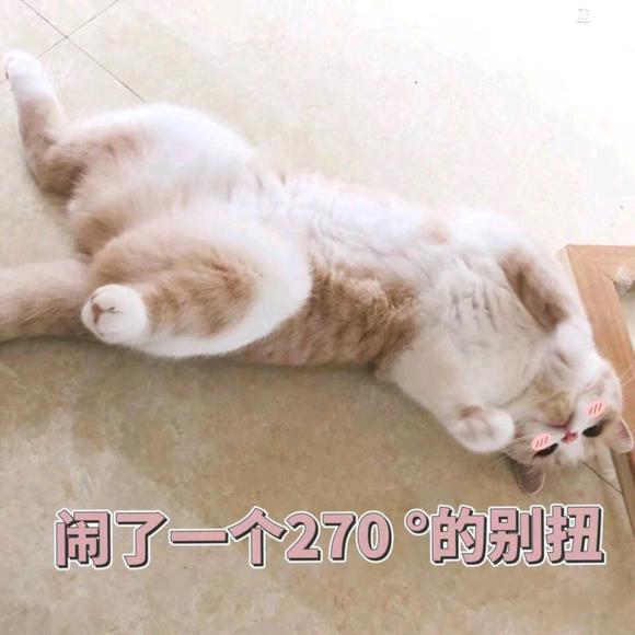 软妹子表情包:你是要讲理还是要我?