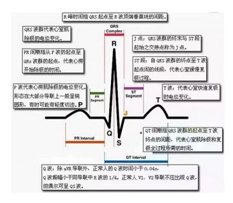 2019医师实践技能考试心电图记忆口诀建议收藏