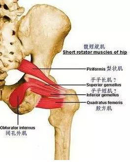 大腿两侧磨的疼怎么办