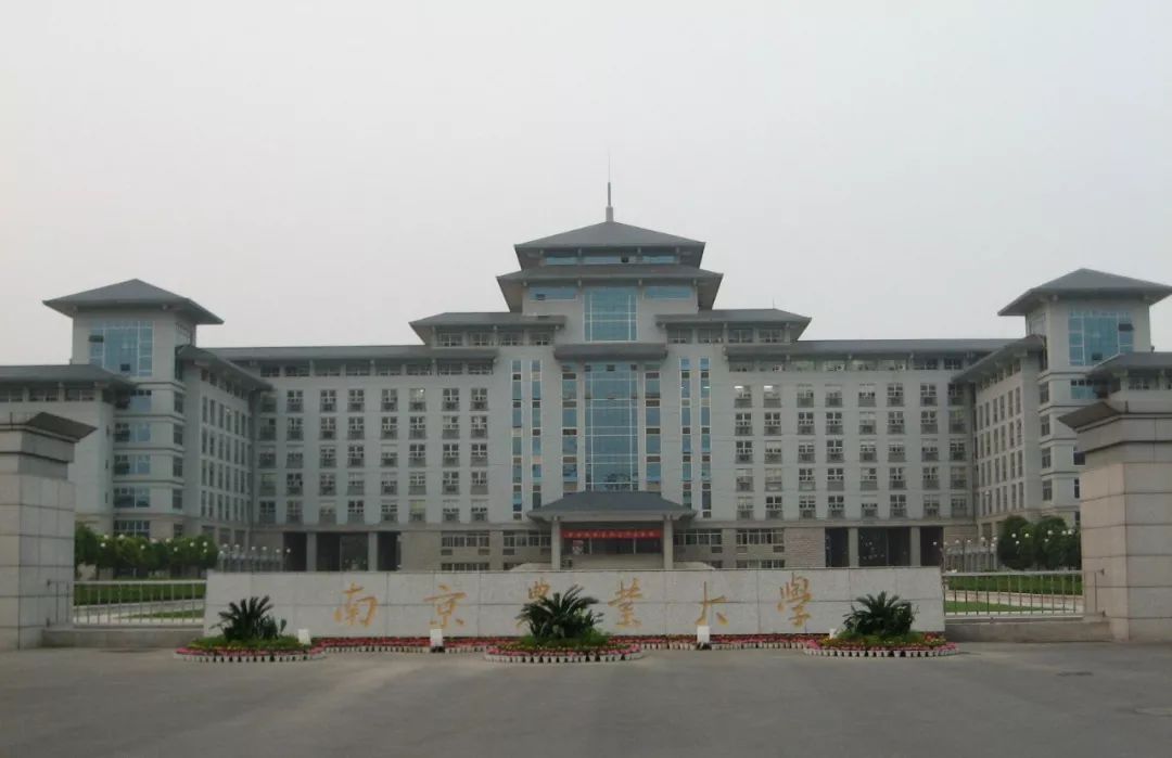 什么是双非本科院校 d6cb7bf4916d48028afbd1b0b632e534.jpeg