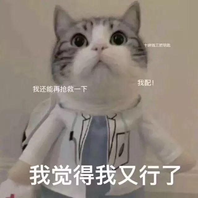 ddf011d420c74324aaf3abf5b85e3c1d.jpeg
