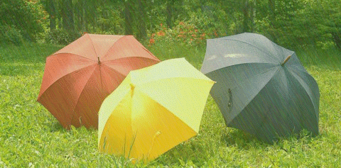 伞 雨伞 480_237 gif 动态图 动图