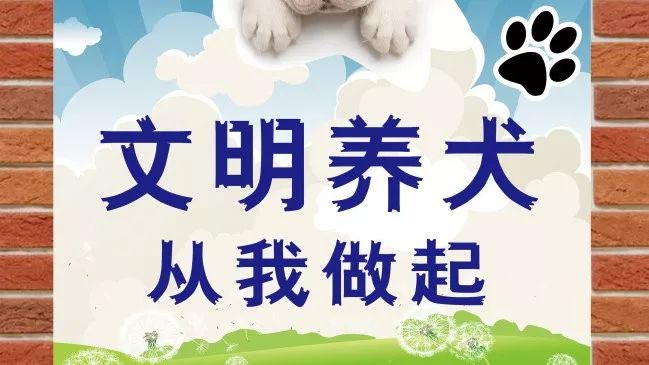 我市《养犬管理条例(草案)征集意见开始啦!