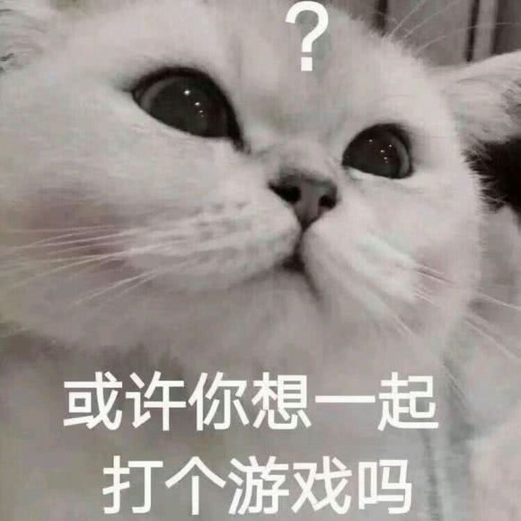 沙雕表情包:或许你想一起打个游戏吗?