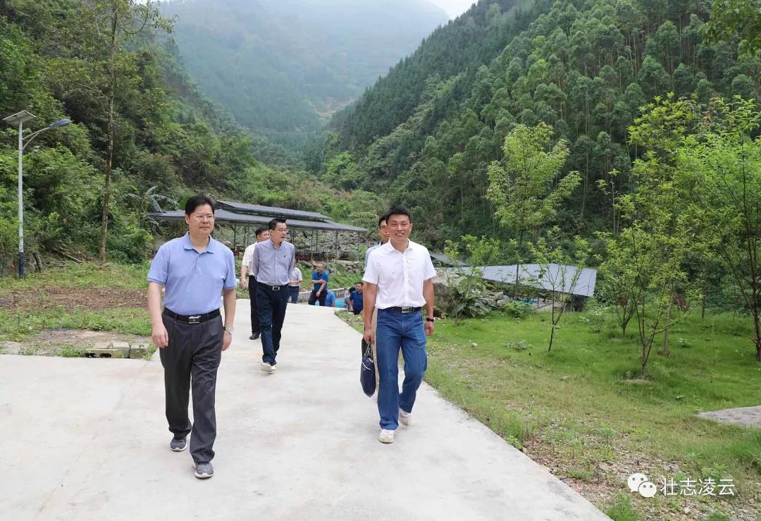关礼: 强化措施 尽锐出战 确保凌云县高质量脱贫