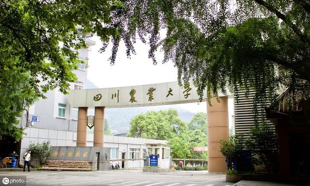 四川985 四川有哪些大学是985.211_川内985211大学