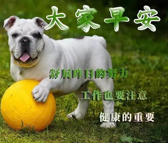 小懒猪起床喽 f0e906f28cf241d0b4f223b58466d905.jpeg