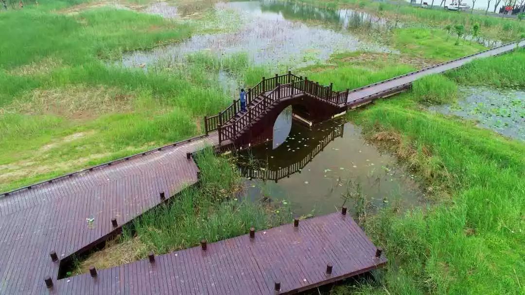 看这个大沙河湿地公园您还认识吗?