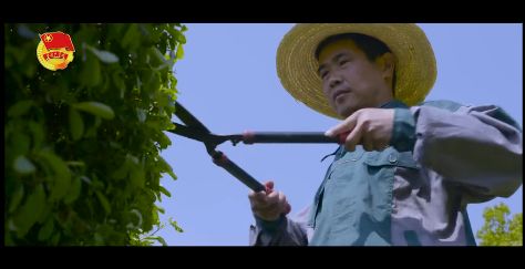 青马工程开班;各地开展纪念五四运动100周年活动丨共青团新闻联播