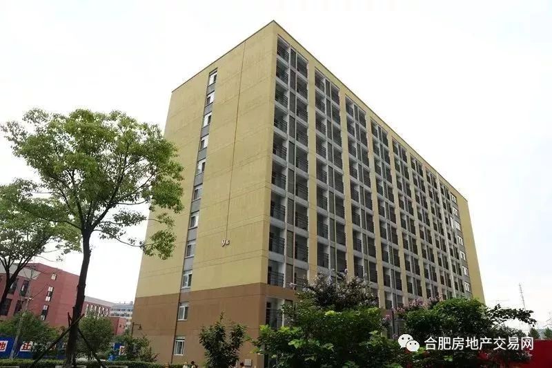 合肥租房人口_合肥人口增长图(2)