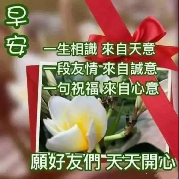 5月20日周一群发早上好问候祝福动态表情图片 最美早晨好问候表情动态