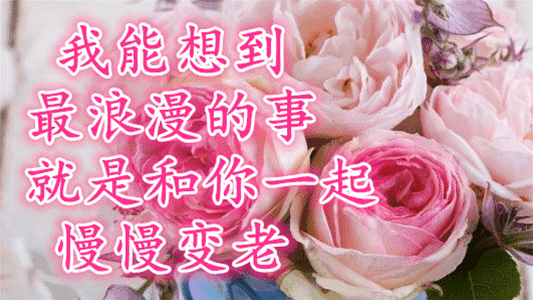 壁纸 花 花束 鲜花 533_300 gif 动态图 动图