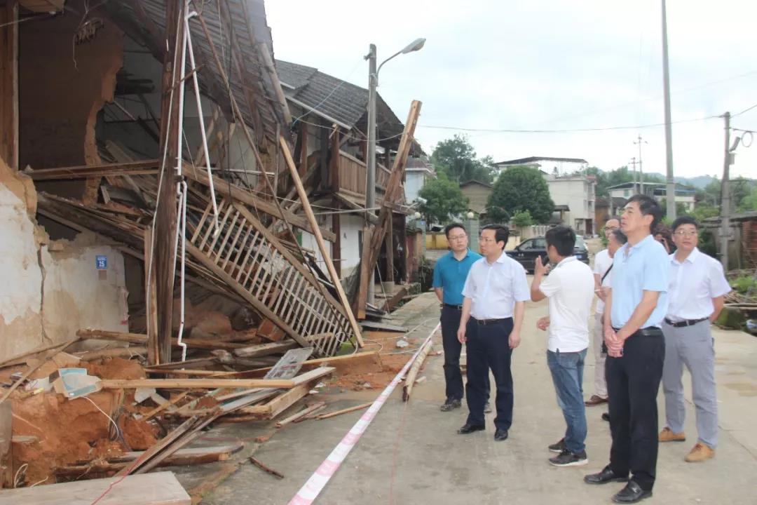 区领导到陈大镇察看指导灾后重建工作