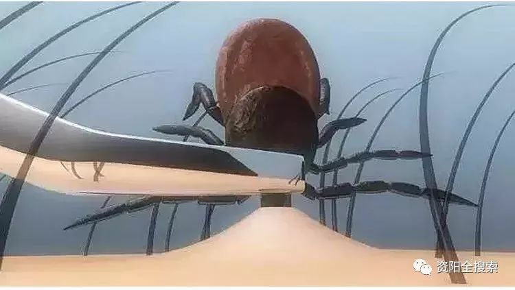 怎么快速消除身体酒精 fbfa232a7cfd401b89eec400ef4fafde.jpeg