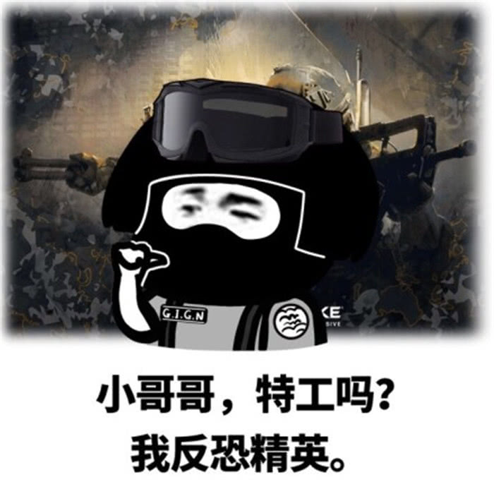 蘑菇头日常聊天搞笑表情包:小哥哥,特工吗?我反恐精英!