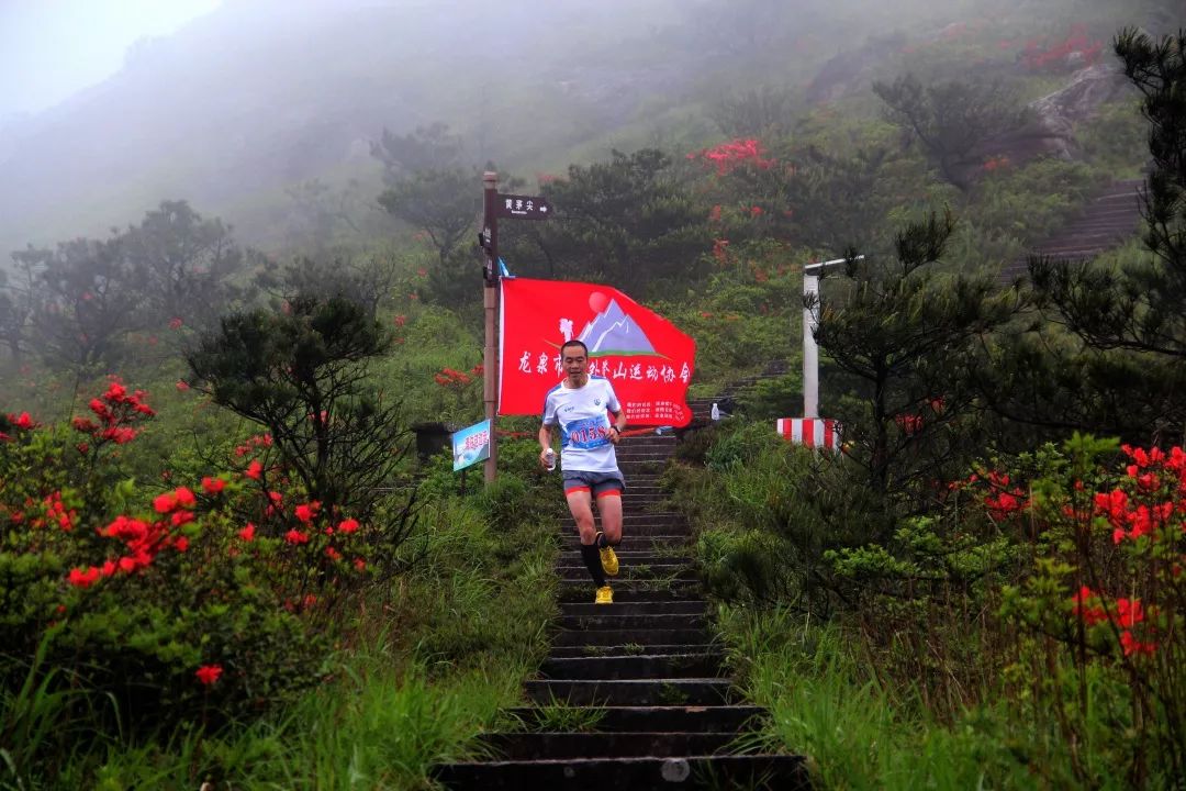 决战江南之巅龙泉这场千人登山盛会谁能胜出