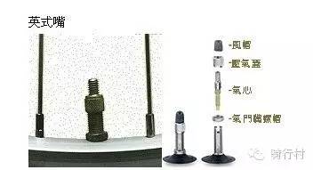 常用内胎的法嘴，美嘴，英嘴的比较