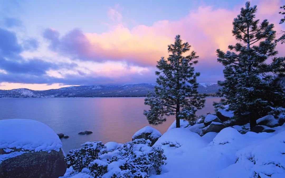 冬天雪景梅花壁纸图片 冬天雪景梅花壁纸图片画法